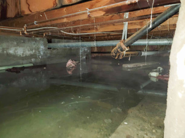 Best 24/7 water damage repair  in Grantley, PA