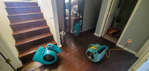 Best Water damage restoration near me  in Grantley, PA