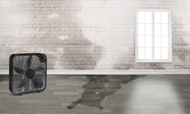 Best Flood restoration services  in Grantley, PA