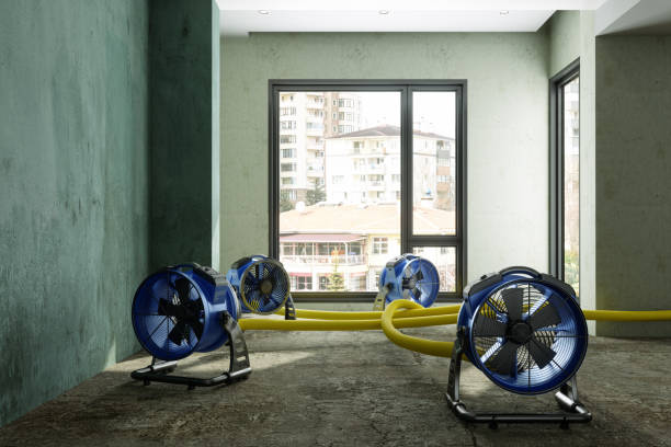 Best Water damage restoration near me  in Grantley, PA
