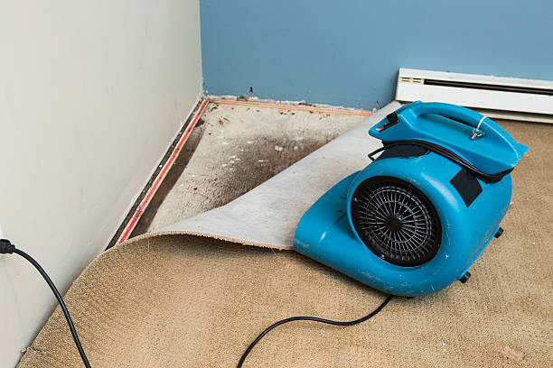 Best Emergency water damage restoration  in Grantley, PA